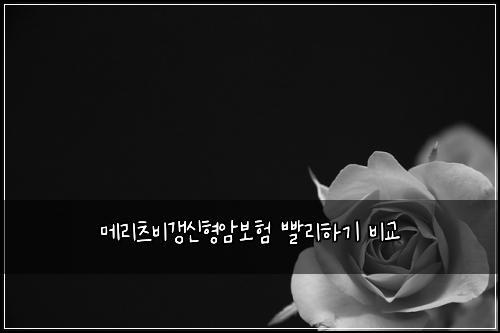 메리츠비갱신형암보험 빨리하기  비교