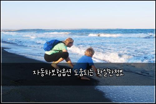 자동차보험옵션 도움되는 확실한정보