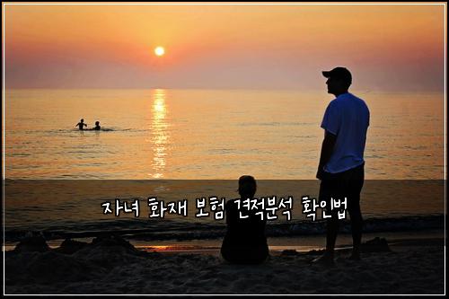 자녀 화재 보험 견적분석  확인법
