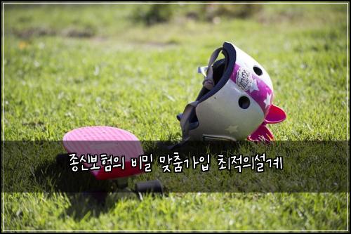 ์ข
์ ๋ณดํ์ ๋น๋ฐ ๋ง์ถค๊ฐ์
์ต์ ์์ค๊ณ