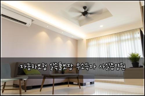 자동차보험 실속풀보장  무소득자 사실증명원