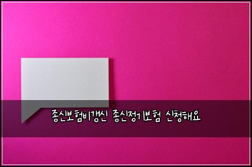 종신보험비갱신 종신정기보험 신청해요