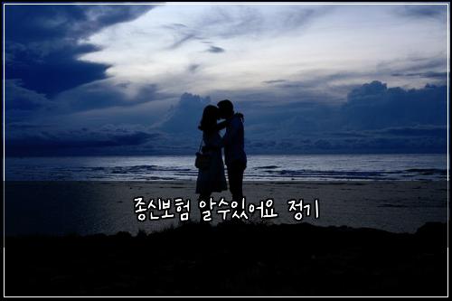 종신보험 알수있어요  정기