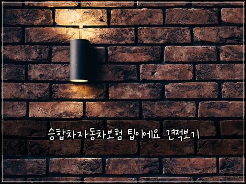 승합차자동차보험 팁이에요  견적보기