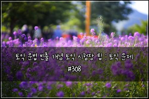 토익 문법 빈출 개념 토익 시험장 팁 : 토익 문제 #308