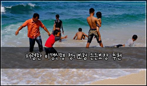 저렴한 비갱신형 정기보험 든든보장  추천