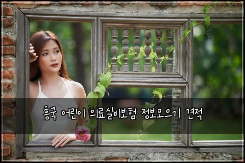 흥국 어린이 의료실비보험 정보모으기  견적