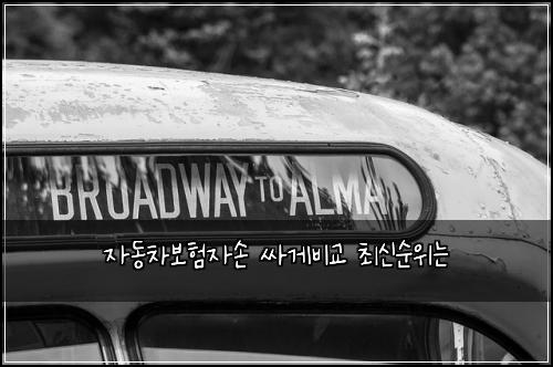 ์๋์ฐจ๋ณดํ์์ ์ธ๊ฒ๋น๊ต ์ต์ ์์๋
