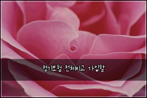 ์ ๊ธฐ๋ณดํ ์ ์ฒด๋น๊ต ๊ฐ์
ํ