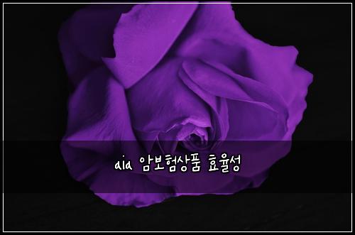 aia μ보νμν ν¨μ¨μ±