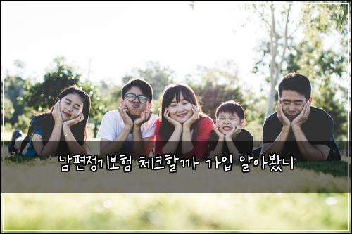 남편정기보험 체크할까  가입 알아봤니