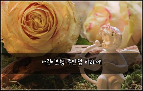 ์ด๋ฆฐ์ด๋ณดํ ์ฃผ์์ ๋น๊ณผ์ธ