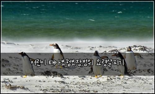어린이 태아보험보장범위 요령살피기