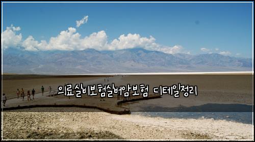 의료실비보험실버암보험 디테일정리