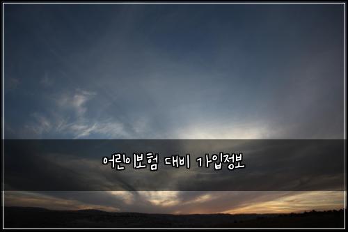 어린이보험 대비  가입정보