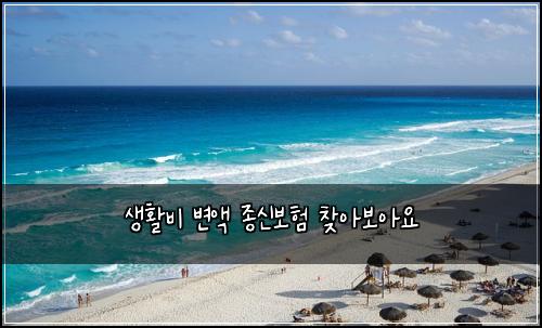 ์ํ๋น ๋ณ์ก ์ข
์ ๋ณดํ ์ฐพ์๋ณด์์