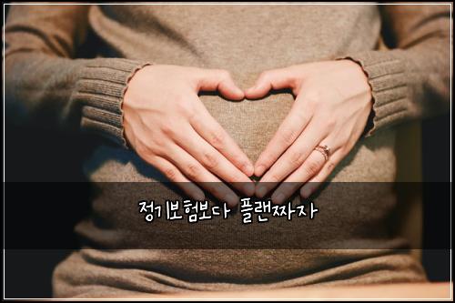 정기보험보다 플랜짜자