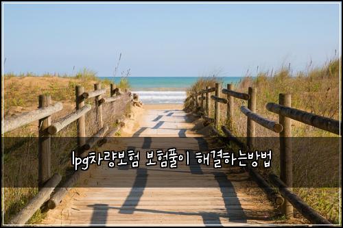 lpg차량보험 보험풀이  해결하는방법