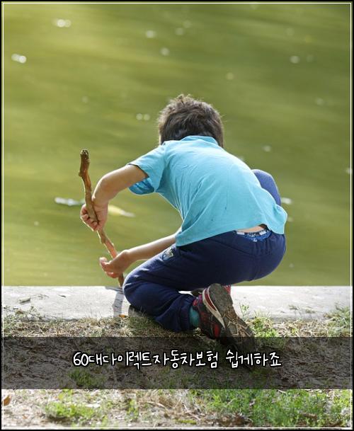 60대다이렉트자동차보험 쉽게하죠 