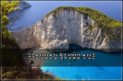 순수보장암보험 필요성점검  보장은