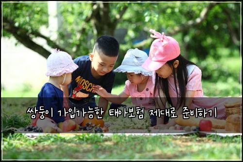 쌍둥이 가입가능한 태아보험 제대로 준비하기