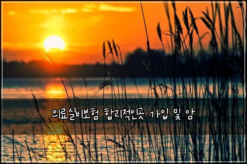 ์๋ฃ์ค๋น๋ณดํ ํฉ๋ฆฌ์ ์ธ๊ณณ ๊ฐ์
๋ฐ ์