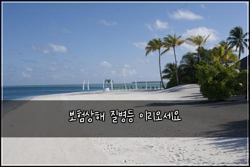 보험상해 질병등 이리오세요