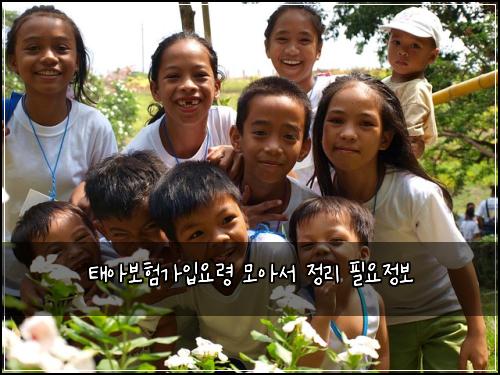 태아보험가입요령 모아서 정리 필요정보
