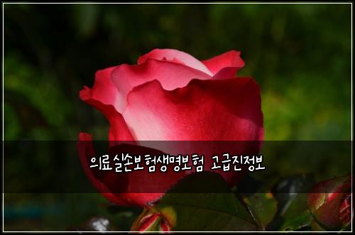 ์๋ฃ์ค์๋ณดํ์๋ช
๋ณดํ ๊ณ ๊ธ์ง์ ๋ณด