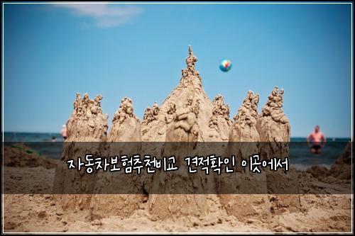 μλ차보νμΆμ²λΉκ΅ 견μ νμΈ μ΄κ³³μμ