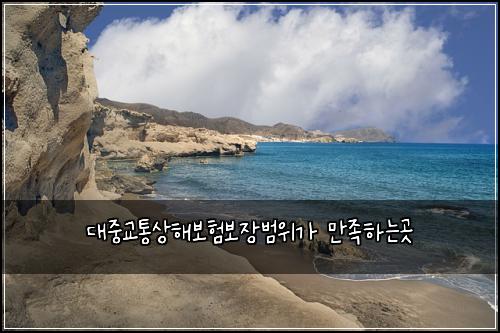 λμ€κ΅ν΅μν΄λ³΄ν보μ₯λ²μκ° λ§μ‘±νλκ³³