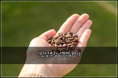 신랑암보험 선택및평가 