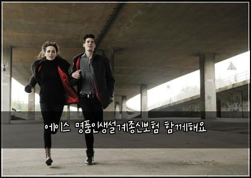 에이스 명품인생설계종신보험 함께해요 