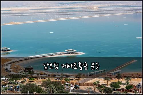 암보험 제대로활용  분옹