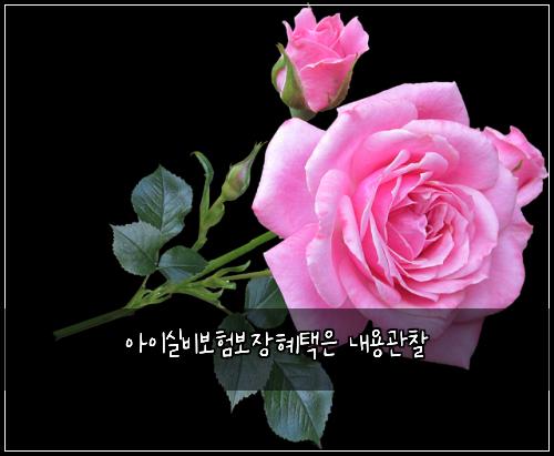 아이실비보험보장혜택은 내용관찰