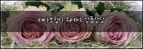 태아보험이 뭐예여 상품상담