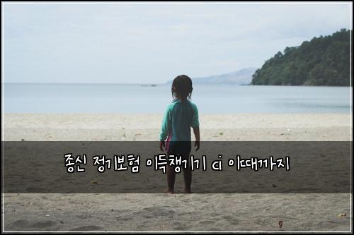 종신 정기보험 이득챙기기  ci 이때까지