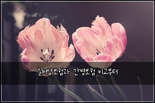์ค๋ฒ์๋ณดํ๊ณผ ๊ฐ๋ณ๋ณดํ ๋น๊ต๋ถํฐ