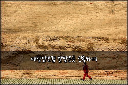 ๋์ฅ์๋ณดํ ์๋ง์๊ณณ ์ ์ํ๊ฒ