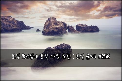 토익 900점대 토익 마킹 요령 : 토익 문제 #256