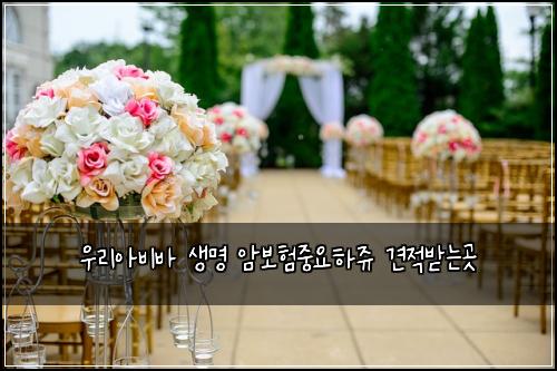 우리아비바 생명 암보험중요하쥬 견적받는곳