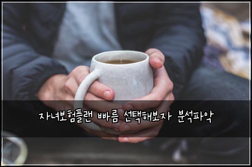자녀보험플랜 빠름 선택해보자 분석파악