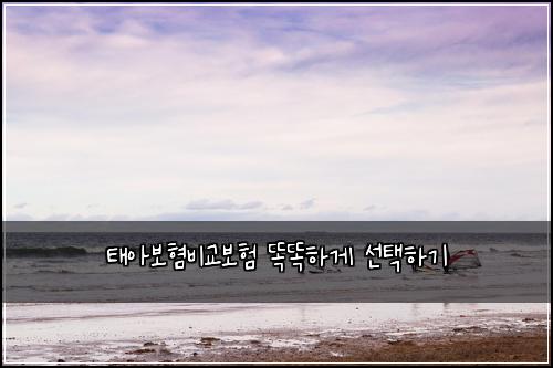 태아보혐비교보험 똑똑하게 선택하기