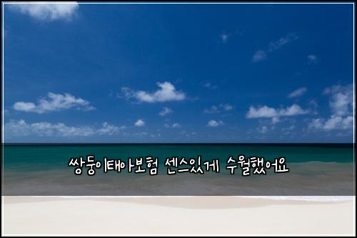 쌍둥이태아보험 센스있게  수월했어요