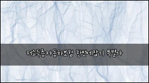 저소득층자동차보험 한번에잡기  특별가