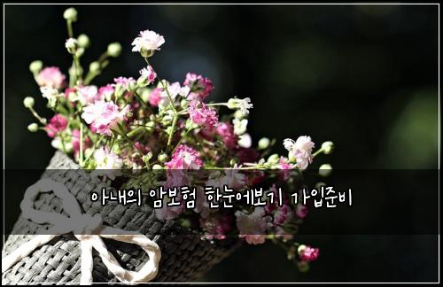 아내의 암보험 한눈에보기 가입준비