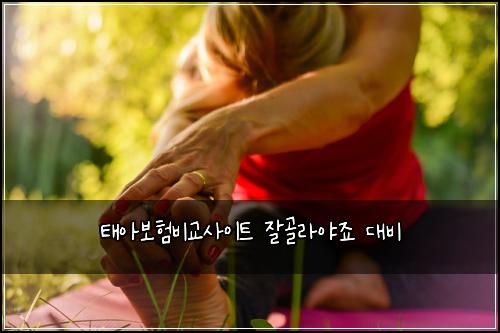 태아보험비교사이트 잘골라야죠 대비