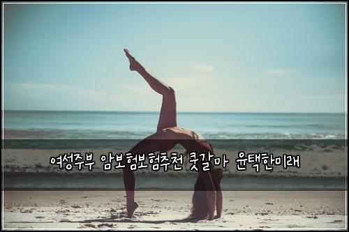 ์ฌ์ฑ์ฃผ๋ถ ์๋ณดํ๋ณดํ์ถ์ฒ ์ฟณ๊ฐ๋ง ์คํํ๋ฏธ๋