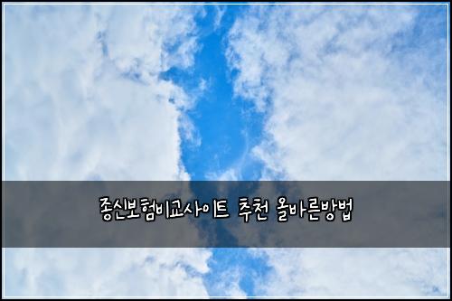 종신보험비교사이트 추천 올바른방법