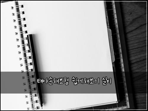 태아손해보험 쉽게해보기  실비